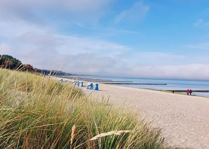 Krueger's Time Out *